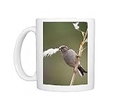 House Sparrow - female collecting pampas grass Photo Mugs