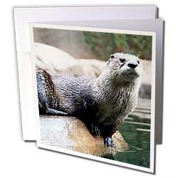 Wild animals - Otter - Greeting Cards-6 Greeting Cards with envelopes