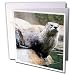 Wild animals - Otter - Greeting Cards-6 Greeting Cards with envelopes