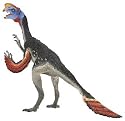 Carnegie Dinosaur Collection - Oviraptor