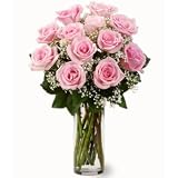 Roses - One Dozen Long Stemmed Pink Roses
