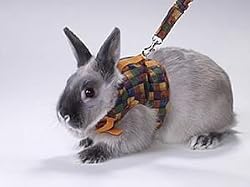 Peter's Walking Rabbit Jacket