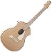 Parker PA24 Acoustic Guitar (Sitka Spruce Top)