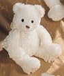 Bear Plush, 15 Inches (Brighton White Teddy Bear from Gund)