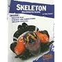 Skeleton: High-speed Ice Sliding (X-Sports)