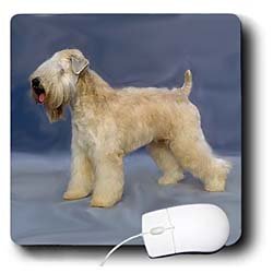 image link -  - B002M0Q0RI