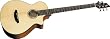 Breedlove Atlas Studio BJ350/SM4  Acoustic Electric Bass