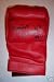 HOUSTON "THE ASSASSIN" ALEXANDER AUTO GLOVE UFC W/PROOF