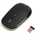 TOPDIGI 3500K Wireless Slimline USB Mouse For Laptops/Desktop PC XP/Vista/Windows 7 - BLACK in frosted surface