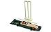 Sporting Goods : Cricket Set Size 5