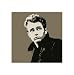 James Dean - Jacket - 16 x 16 Poster