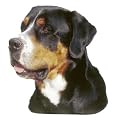 Gro�er Schweizer Sennenhund Aufkleber - Gro�