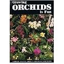 Growing Orchids Is Fun:simple Facts About Understanding Orchids