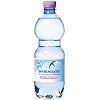 (お徳用ボックス) サンベネデット ナチュラルミネラルウォーター 500mlペット×24本