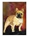 French Bulldog Animals Giclee Poster Print by Kathleen Sepulveda, 8x10