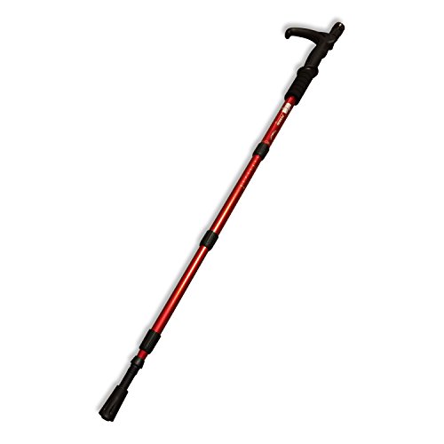 Best Collapsible Walking Sticks for Men, Women , Kids and for