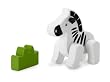 Wonderworld Wonder Zebra Wonderworld Wonder Zebra