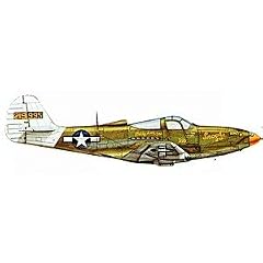 Easy Model 36320 - P-39Q-Lt. Col .William Shomo 71st trs/82nd TRG .1944
