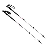 BlackDiamond(ブラックダイヤモンド) トレイルショック BD80865