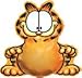 PMU Garfield Cat Comic Happy Birthday Party Balloon Kit Supplies (9/pkg) Pkg/1