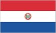 Annin Nylon Paraguay flag, 3-Foot by 5-Foot