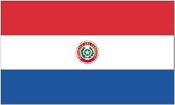 Annin Nylon Paraguay flag, 3-Foot by 5-Foot
