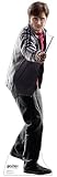 Harry Potter (Harry Potter and the Deathly Hallows) Life-Size Standup Poster