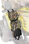 Allen Cases - ATV Accessories