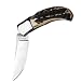 Browning Knives 509 Skinner Knife with Sambar Stag Handles