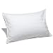 Pinzon Pyrenees Firm Density PrimaLoft Queen Pillow