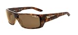Arnette Munson Italian Sunglasses AN4164, 2087/83 Havana w/ Brown Polarized Lens