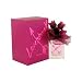 Love Struck Eau De Parfum Spray for Women by Vera Wang, 3.4 Ounce