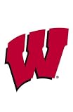 University of Wisconsin Badgers Flag - Garden Size