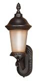 Nuvo Lighting 60/2501 Clarion Outdoor Small Wall Lantern Arm Up with Photocell, Brushed Wheat Glass, Chestnut Bronze