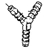 Insert Y Fitting - 3/4 inch Insert x 3/4 inch Insert x 3/4 inch Insert
