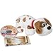 Pound Puppy with DVD: 13