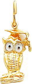 14K Yellow Gold Enameled Graduation Owl Charm