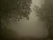 Tree Lined Streets of Marsabit, Northern Frontier District, Kenya Artists Photographi...