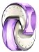 Omnia Amethyste Eau de Toilette for Women by Bvlgari