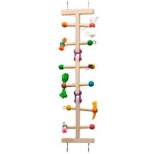 Kaytee Avian Forage-N-Play Ladder, Medium