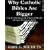 Why Catholic Bibles Are Bigger: The Untold Story of the Lost Books of the Protestant Bible