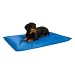 K&H Cool Bed III Cooling Dog Bed, Small, 17-Inches by 24-Inches, Blue