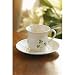 Price Comparison : BELLEEK DAISY CUP SAUCER SET - DAISY CUP AND SAUCER SET, BELLEEK COLLECTION