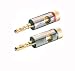 Vivanco Bananenstecker aus Metall, vergoldete Kontakte, schraubbar, 2 St�ck