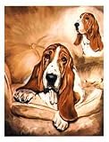 Basset Hound Notecards