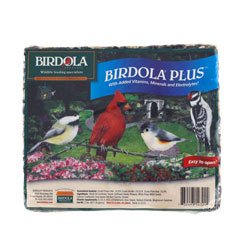 Birdola Cake for Wild Birds (2-lb cake) by Birdola