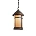 Kichler Lighting 10949CV Tularosa 18-Watt 1-Light Fluorescent Energy Star Outdoor Pendant, Canyon View with Honey Opalescent Glass