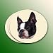 boston terrier - Boston Terrier Coasters Set of 4 from the Winter Churchill Collection