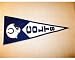 Indianapolis Colts NFL Classic Wool Pennant