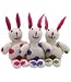 dots my bunny